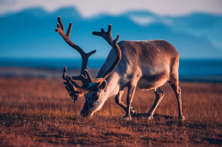 Shutterstock 1165210903