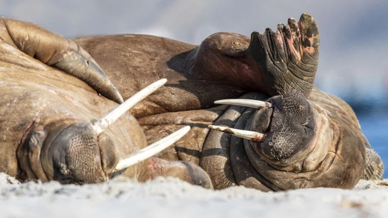 Spbg 20190809 180412 1