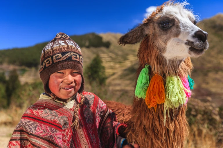 Cusco kind lama hadynyah istock 472078967